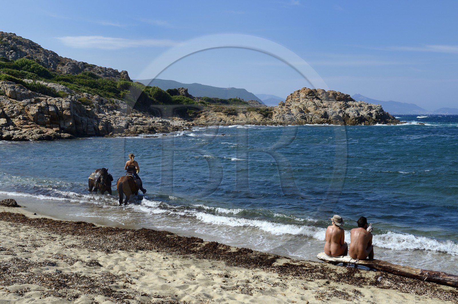 France, Haute-Corse (2B), Nebbio, désert des Agriates, Anse de Peraiola, cavalière sur la plage d'Ostriconi