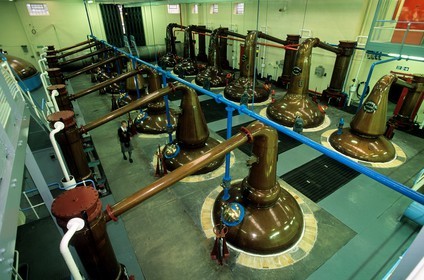 United Kingdom, Scotland, Moray, Dufftown, Glenfiddich distillery, traditional copper stills for the double distillation of whisky