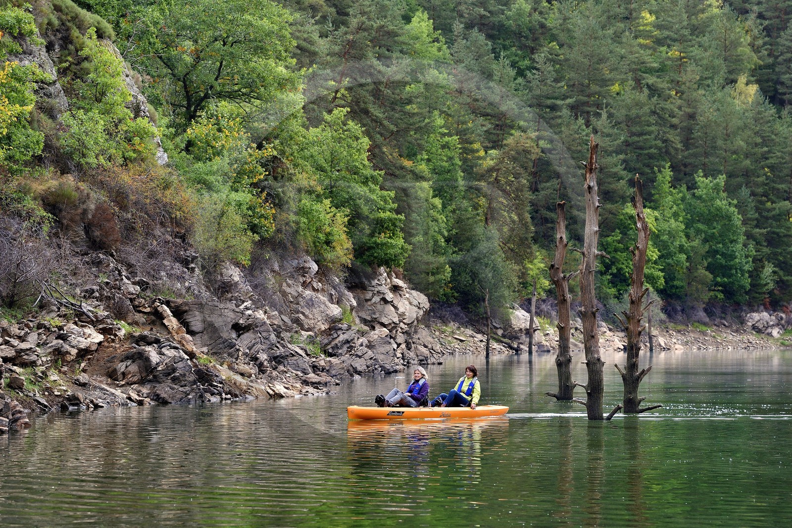 France, Cantal (15), Gorges de la Truyère, Chaliers, découverte en kayak à pédales de la rivière Truyère en amont du viaduc de Garabit et troncs d'arbres morts vestiges de la foret noyée