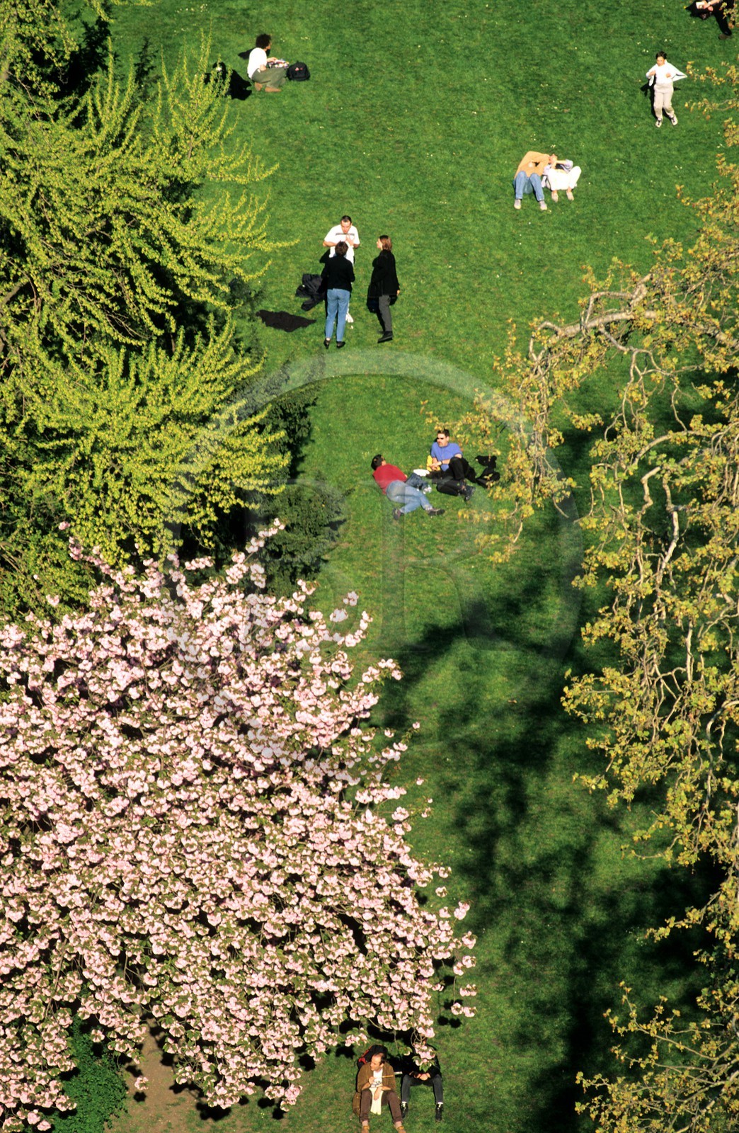 France, Paris, Buttes Chaumont Park
