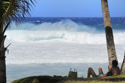 France, île de la Réunion, la côte sud, plage de Grand-Anse