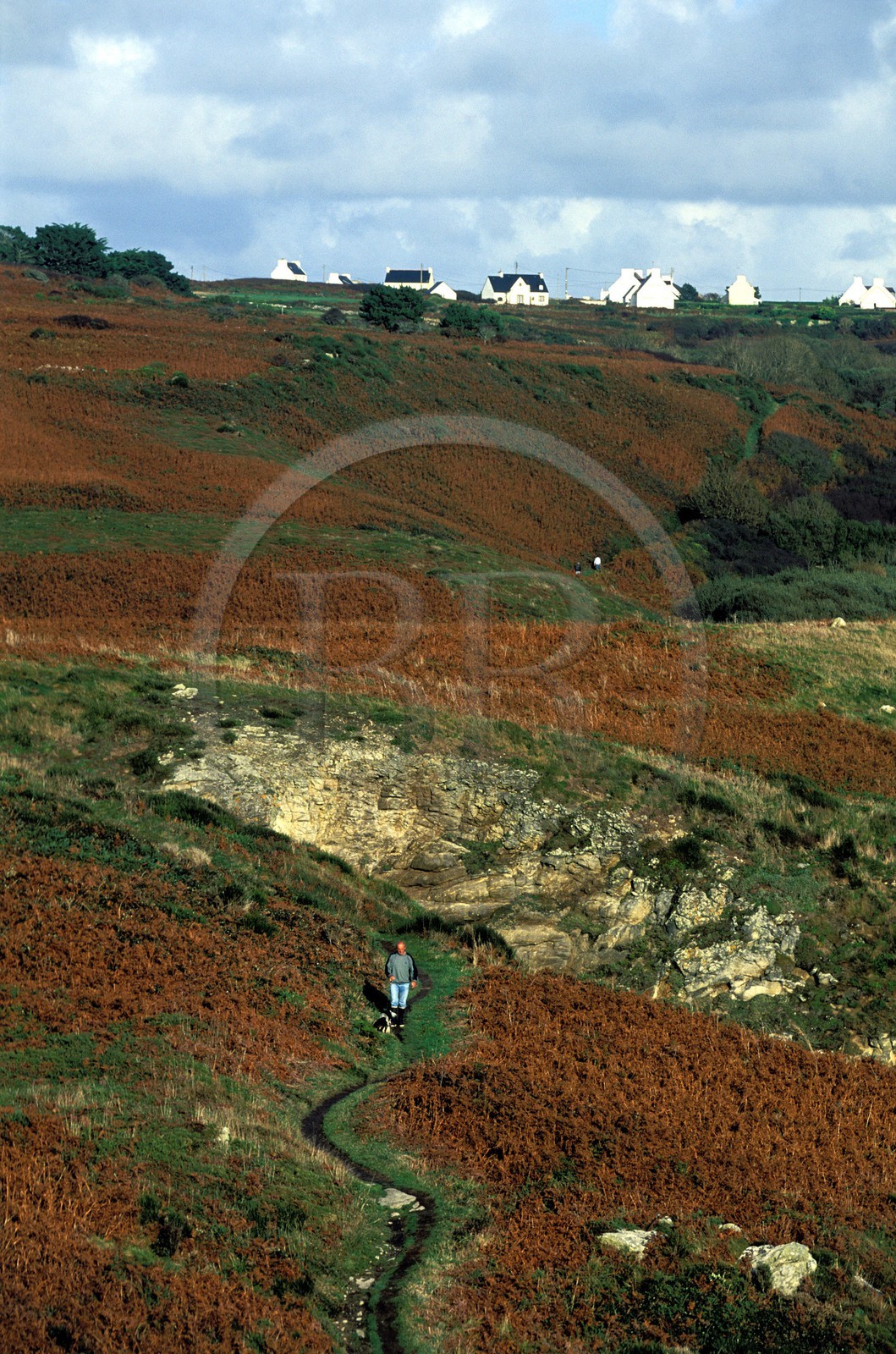 France, Finistère (29), Pointe du Raz vers le port de Bestrée et village de Lescoff