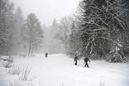 France, Haute Savoie, Araches la Frasse, Les Carroz d'Araches ski resort, snowshoeing