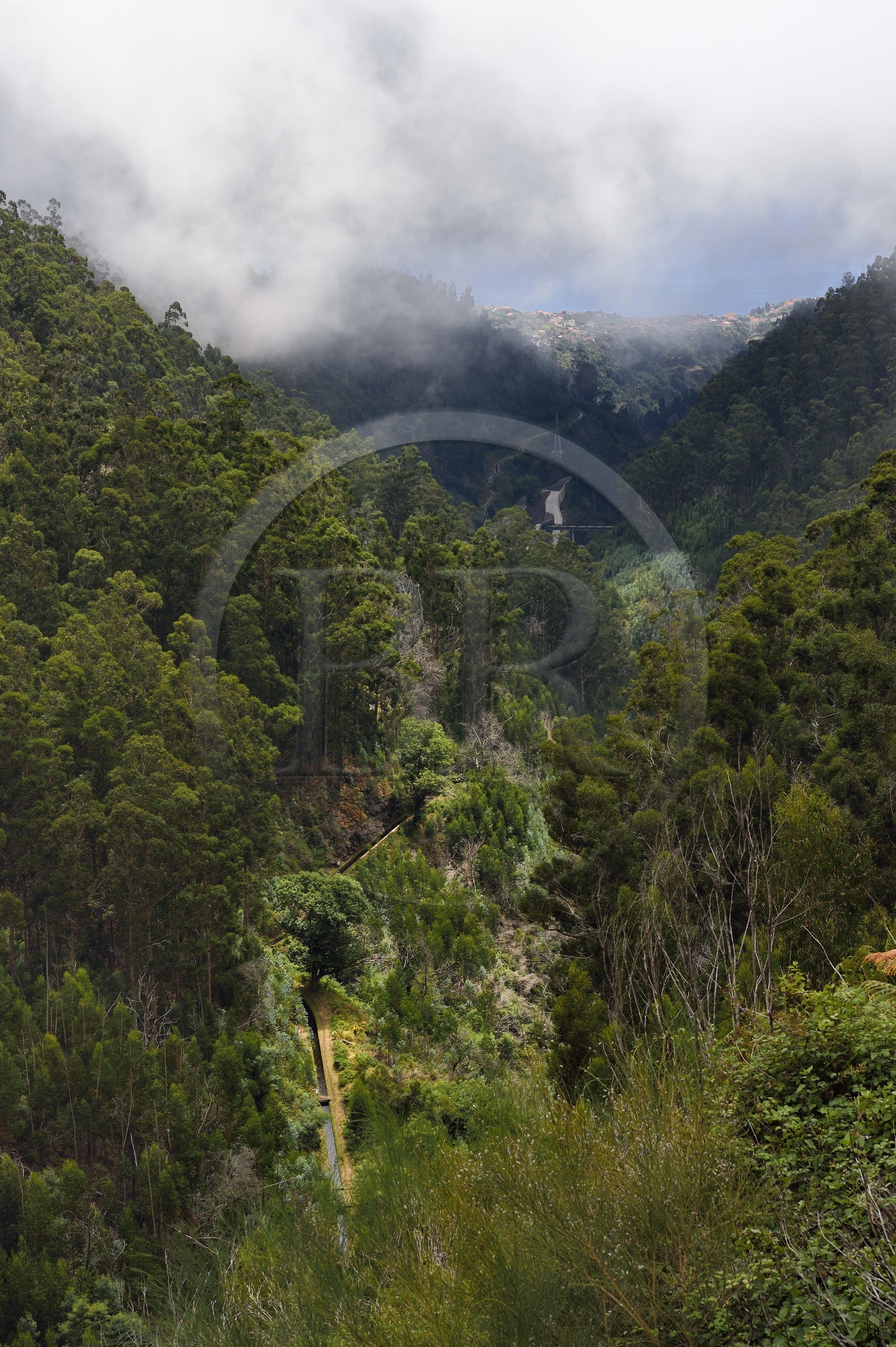 Portugal, Madeira Island, the Levada da Rocha Vermelha in the Calheta valley