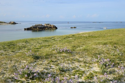 France, Finistère (29), La Foret Fouesnant, archipel des Glénan, Ile Saint-Nicolas, côte ouest