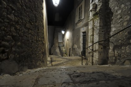 France, Loir et Cher (41), Blois, escalier menants du château à la vieille ville