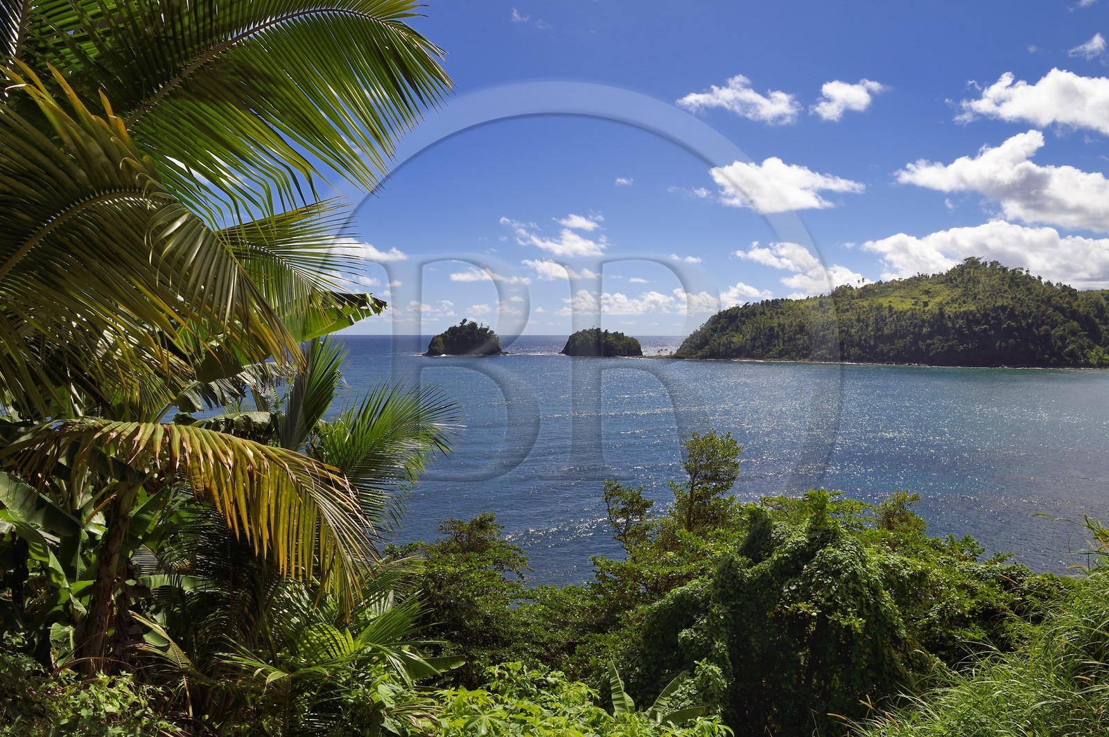 Caribbean, Dominica Island, Castle-Bruce, the peninsula