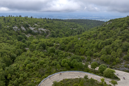 France, Vaucluse (84), Parc Naturel Régional du Mont Ventoux, Bedoin, ascension à vélo du Mont Ventoux par la route D974 sur le versant sud, route à travers une épaisse forêt de chênes (vue aérienne)