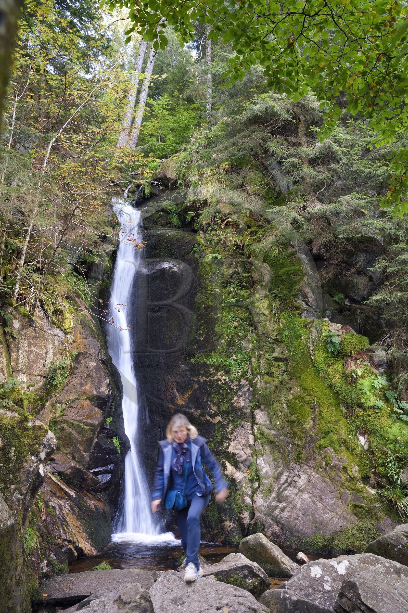 France, Vosges (88), Le Valtin, randonnée dans la vallée du Valtin dans la haute-vallée de la Meurthe, cascade du Rudlin
