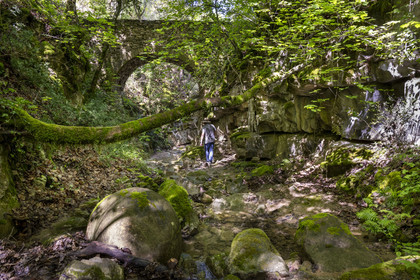 France, Vaucluse (84), Dentelles de Montmirail, Sablet, la rivière le Trignon surplombé par l'ancien pont de l'abbaye en ruine de moniales du VIIe siècle dans le vallon de Prébayon