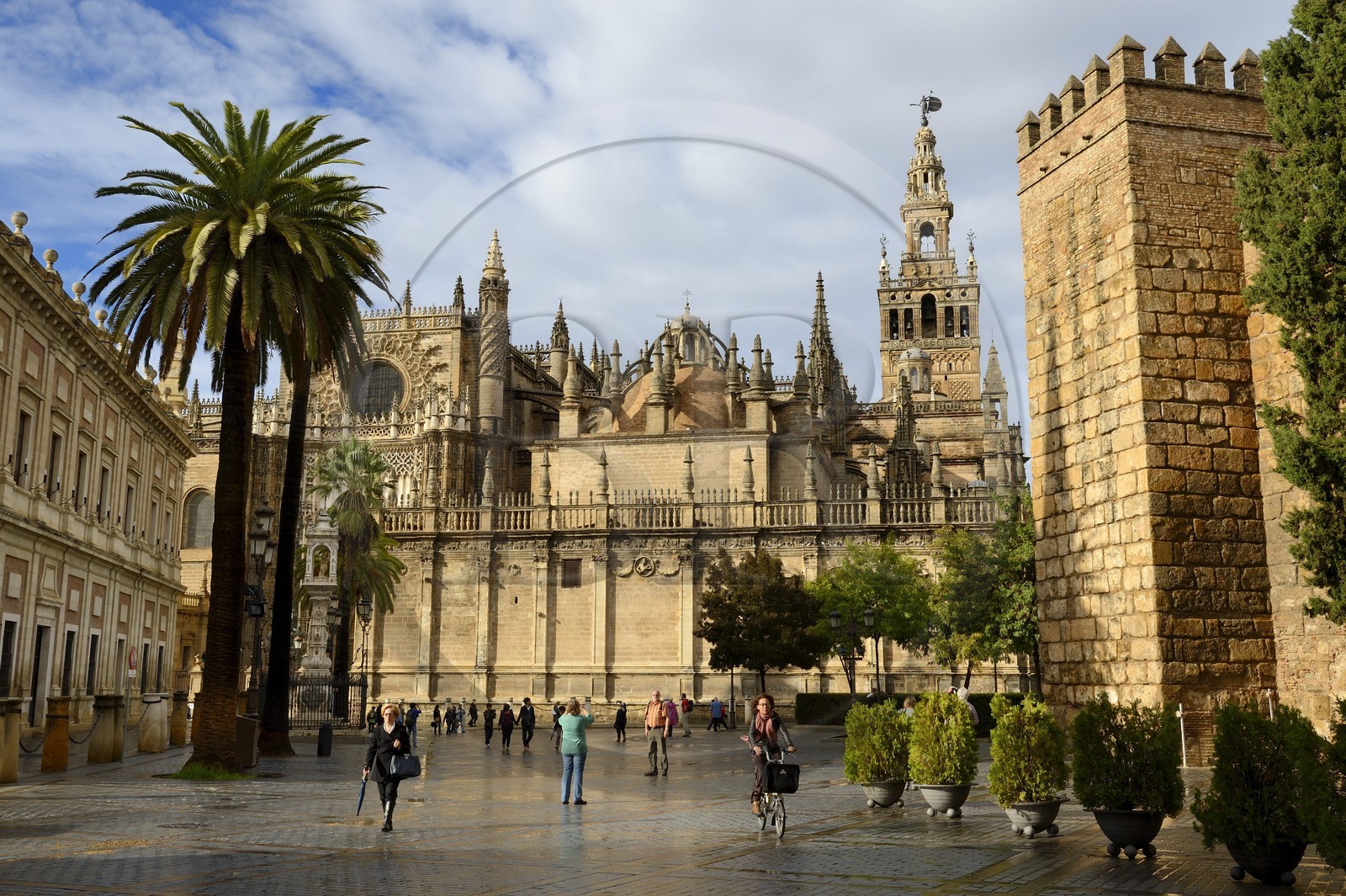Espagne, Andalousie, Séville, quartier de Santa Cruz, la Giralda, ancien minaret almohade de la Grande Mosquée reconverti en clocher de la cathédrale, classé Patrimoine Mondial de l'UNESCO et les remparts de l'Alcazar