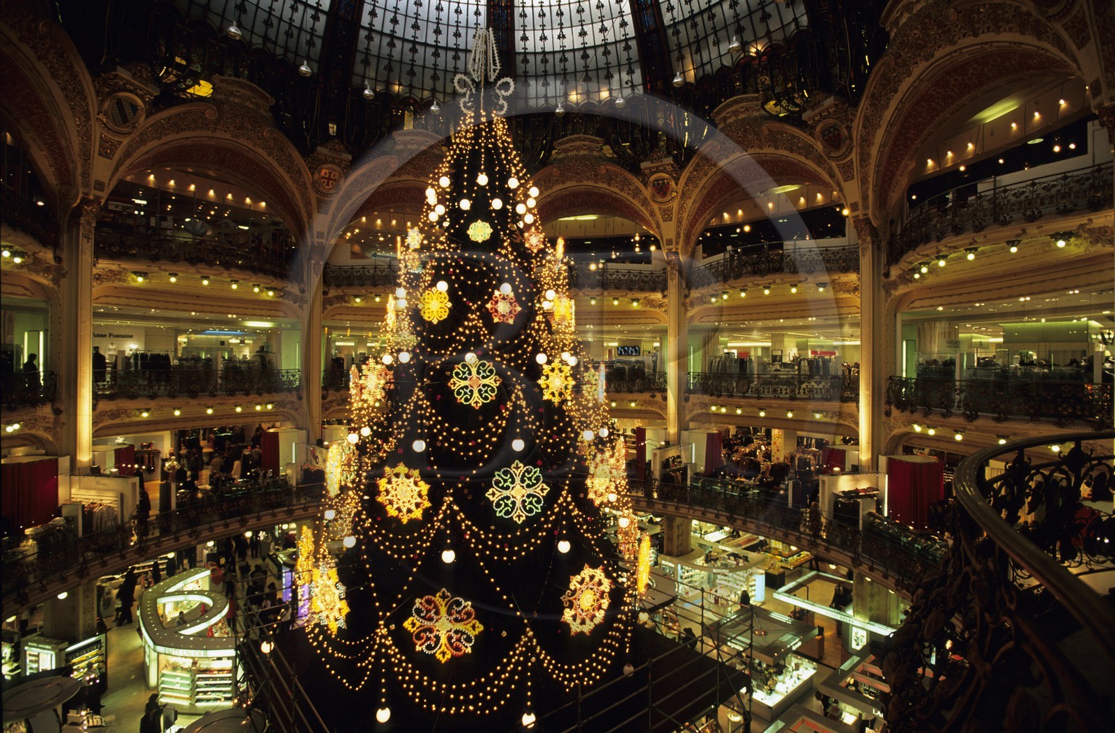 France, Paris (75), les Galeries Lafayette, l'arbre de Noël sous le dôme central