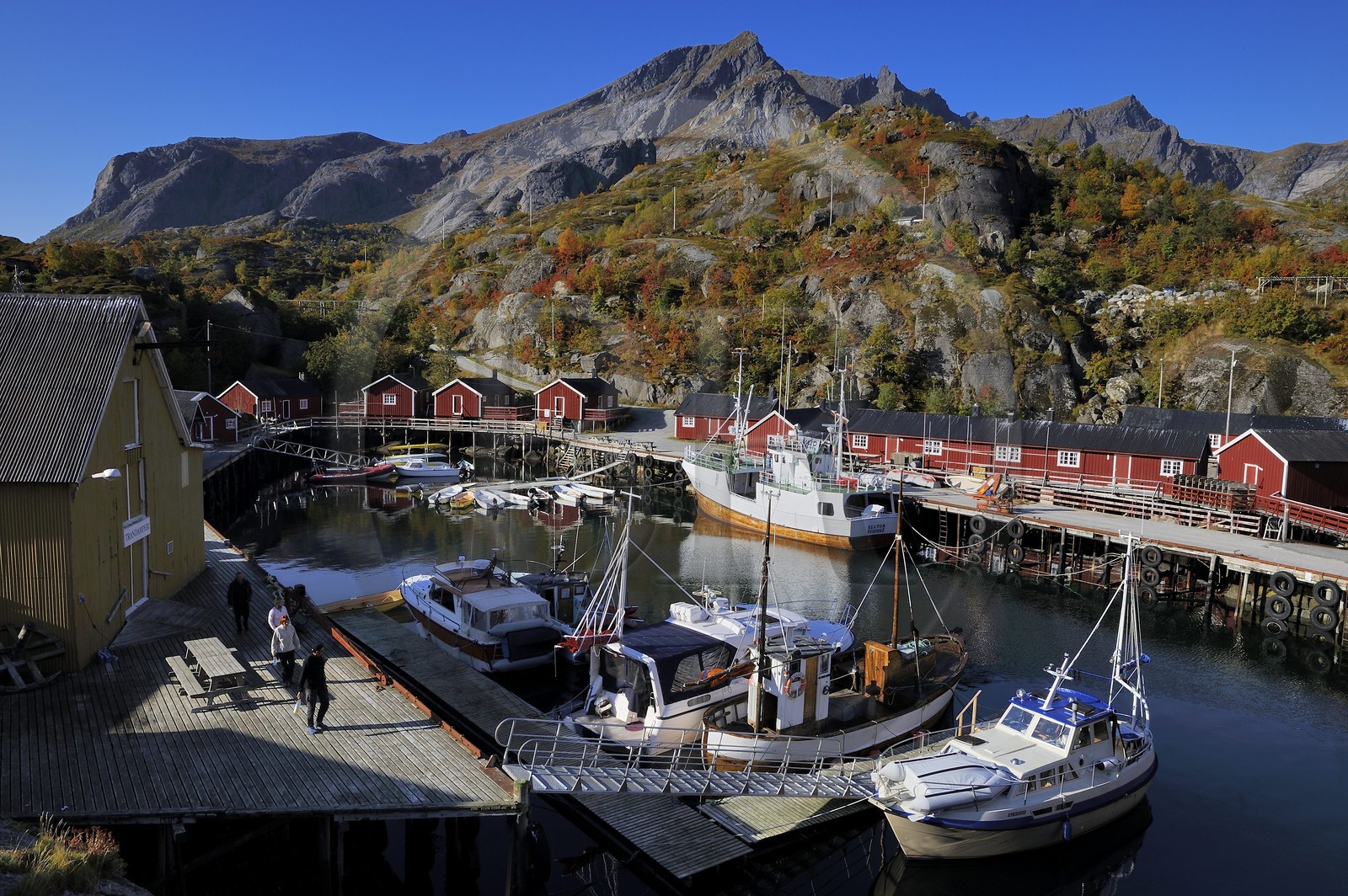 Norvège, Nordland, Iles Lofoten, Ile de Flakstadoy, le port du village restauré de Nussfjord