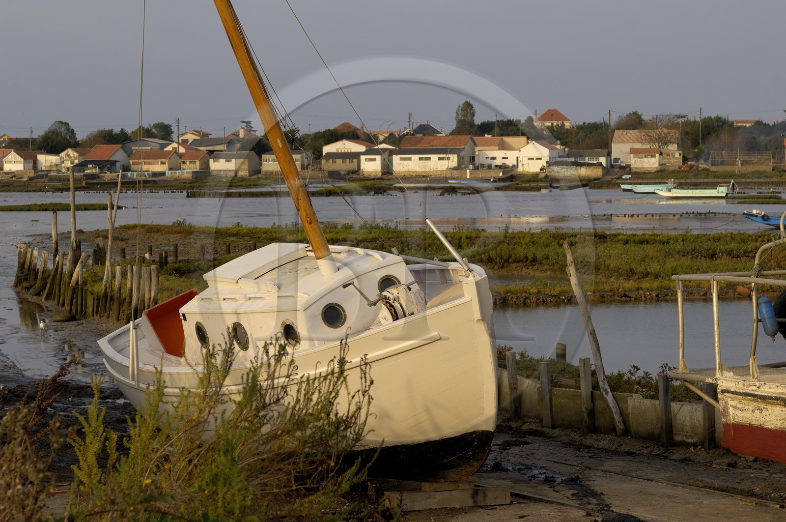France, Charente-Maritime (17), bassin de Marennes-Oléron, Bourcefranc-le-Chapus