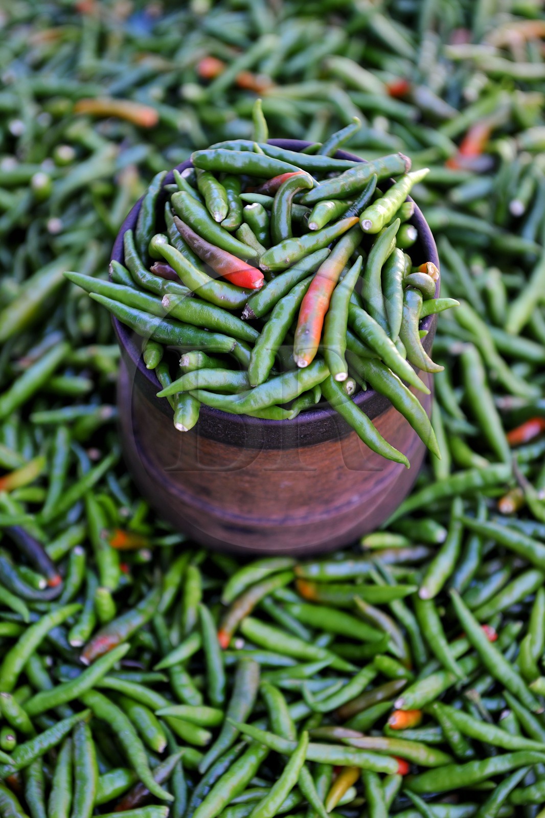 France, île de la Réunion, Saint-Pierre, le marché du samedi, petit piments verts très fort