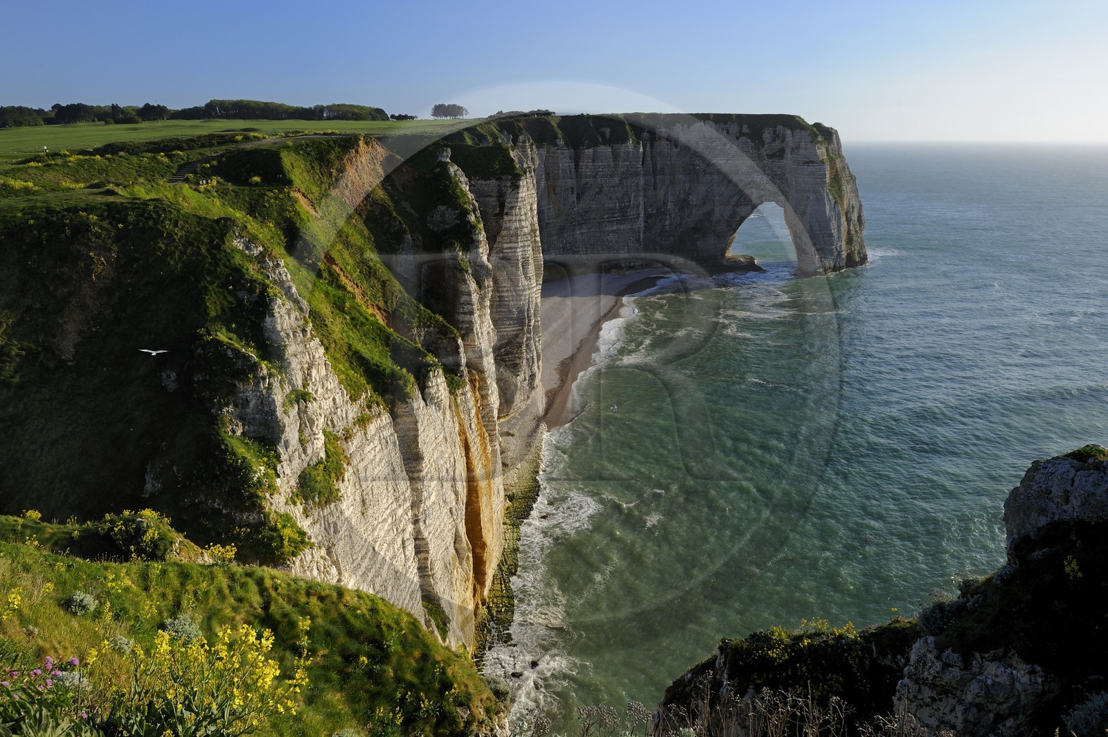 France, Seine-Maritime (76), Pays de Caux, Côte d'Albâtre, Etretat, la falaise d'Aval et La Manneporte