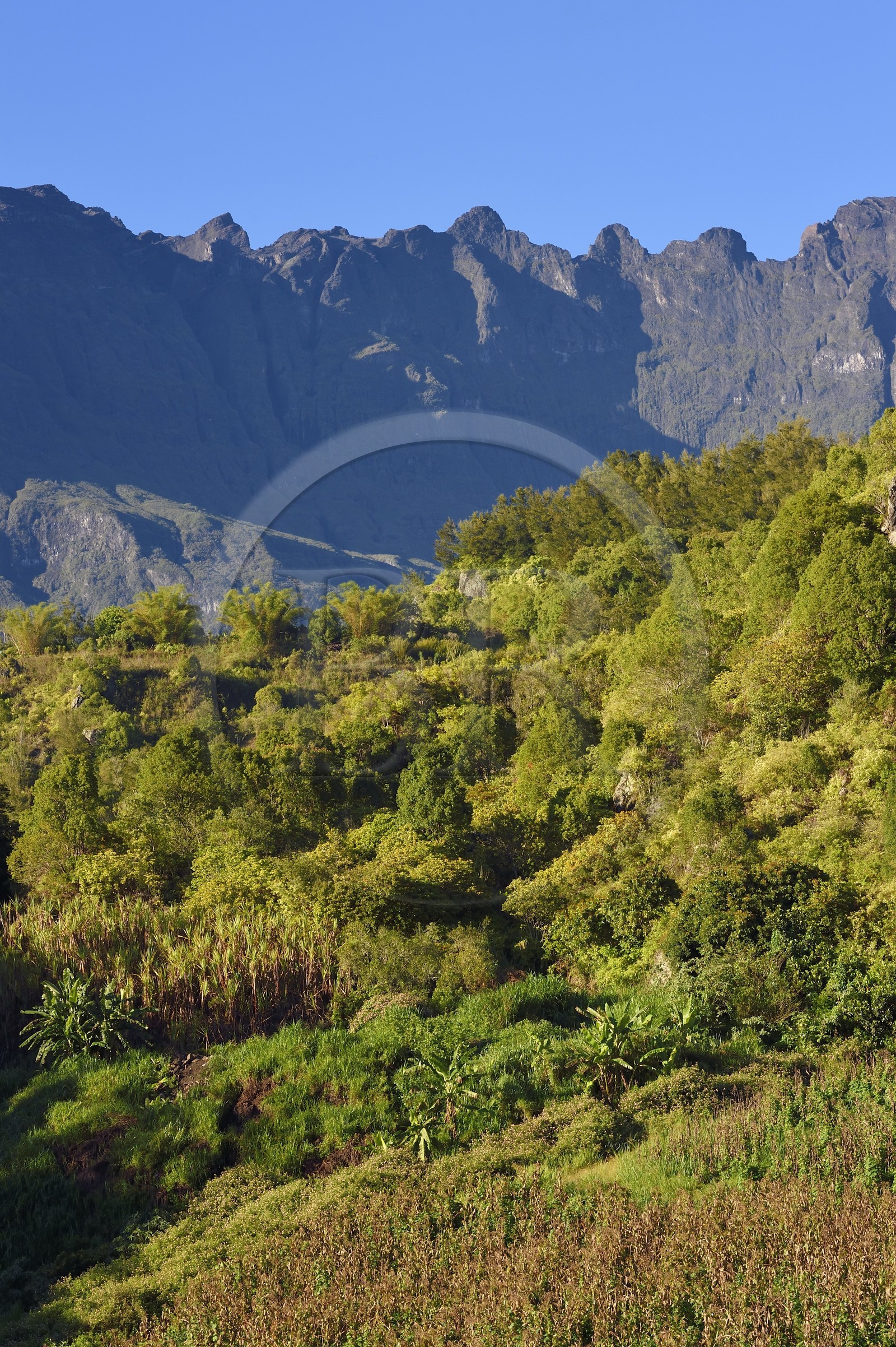 France, Ile de la Reunion, Cirque de Salazie, classé Patrimoine Mondial de l'UNESCO, la montagne du Piton des Neiges est le point culminant à 3 070 mètres d'altitude et domine le cirque