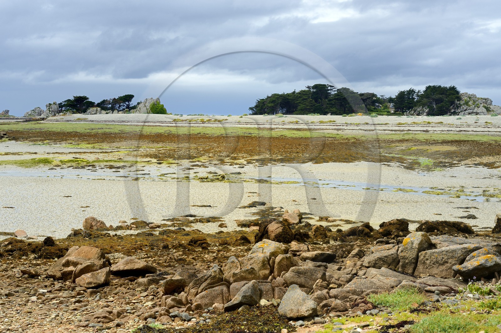 France, Côtes-d'Armor (22), Côte d'Ajoncs, Penvénan, plage de Buguélès sur l'île Banalec à marée basse et l'île Enez Illec en arrière plan