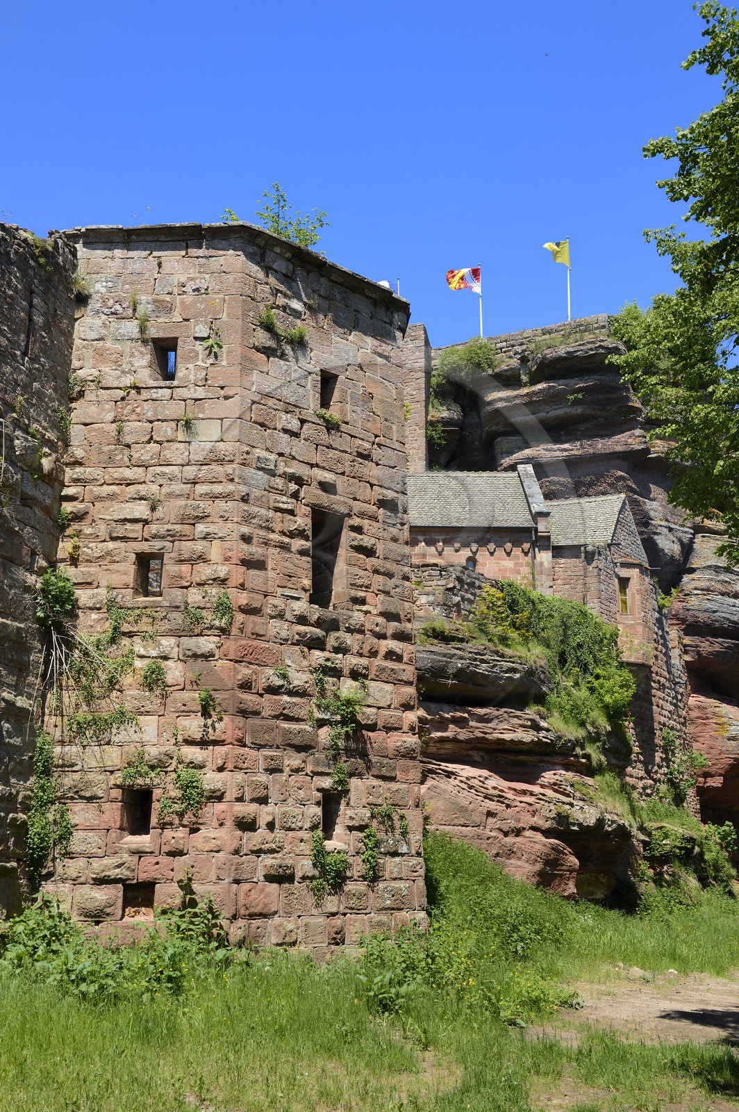 France, Bas-Rhin (67),  Saverne, chateau du Haut-Barr  du XI-XIVème siècle