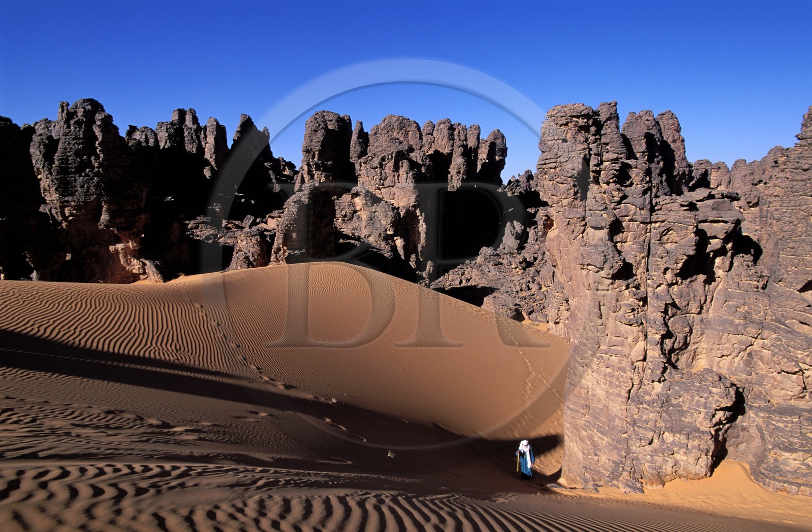 Libya, region of the desert, the Fezzan (Sahara), Tuareg walking between the needles of sandstone of Tassili of Maghidet (Algerian frontier)