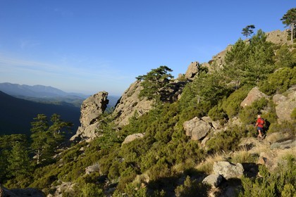 France, Corse-du-Sud (2A), Alta Rocca, Aiguilles de Bavella, randonneurs sur la variante alpine de l'étape du GR 20