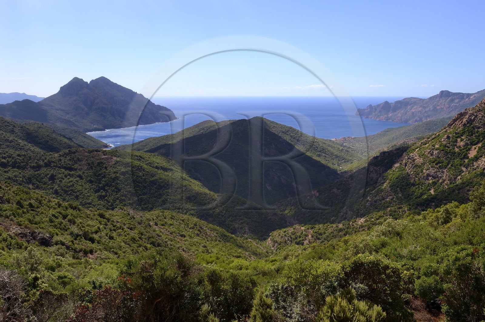 France, Corse-du-Sud (2A), Golfe de Girolata, classé Patrimoine Mondial de l'UNESCO, la Punta Rossa de la Réserve naturelle de la presqu'île de Scandola sur la droite en arrière plan depuis le Col de Palmarel