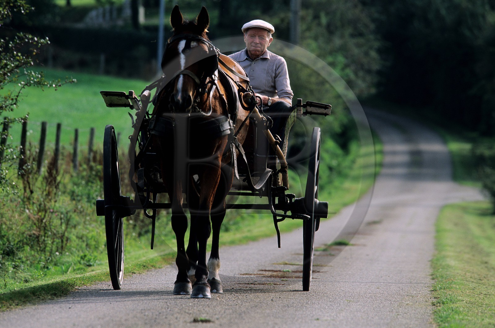 France, Mayenne (53), cheval tractant une calèche