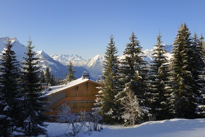 Suisse, Canton de Vaud, Villars sur Ollon, chalet sous la neige