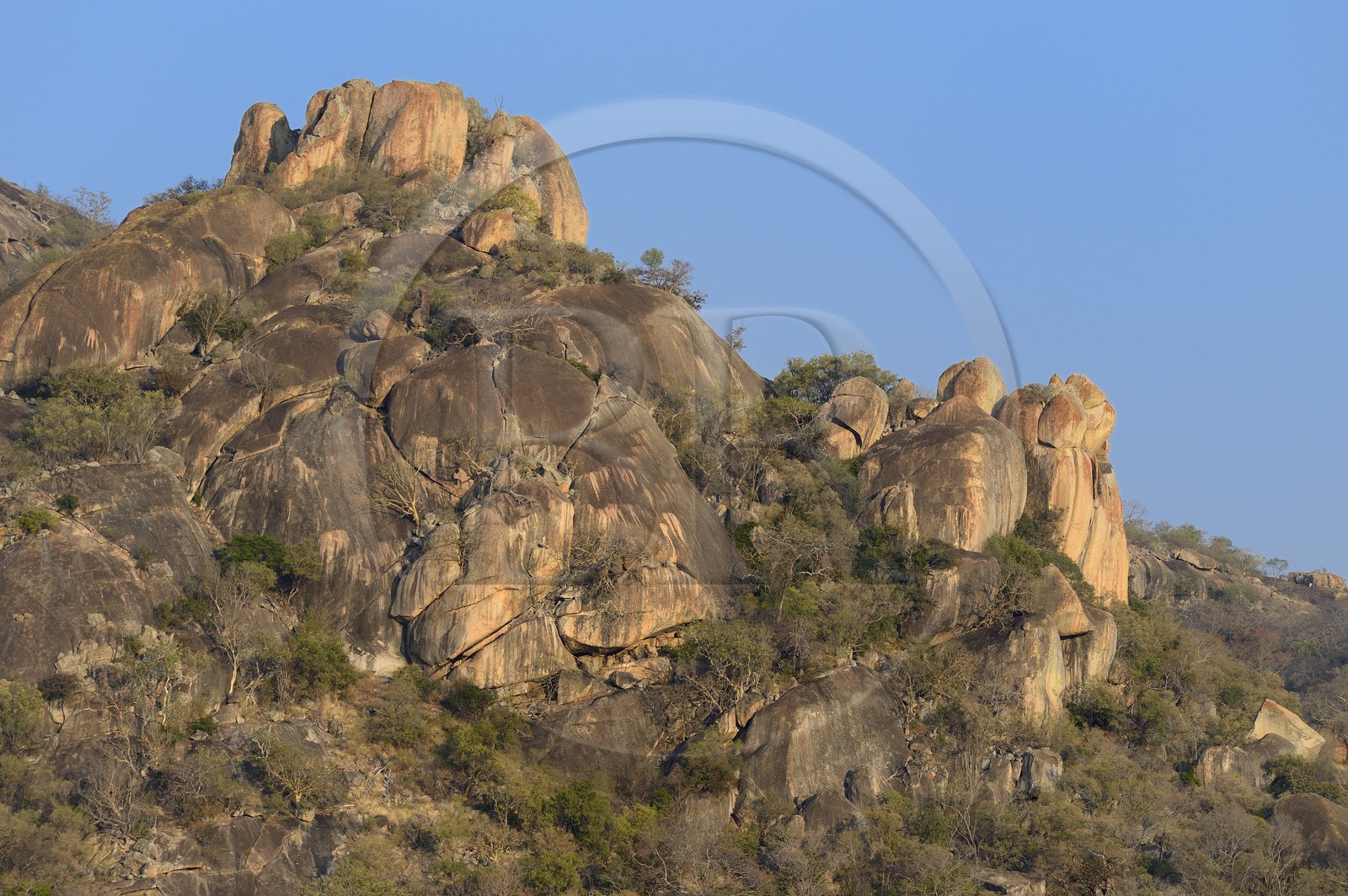 Zimbabwe, province de Matabeleland méridional, Matobo ou Matopos Hills National Park, classé Patrimoine Mondial de l'UNESCO, les collines rocheuses