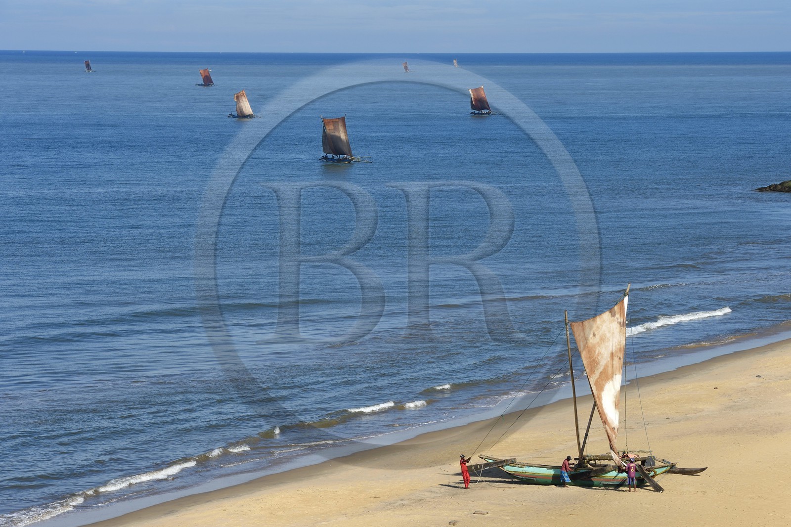 Sri Lanka, Province de l'Ouest, Negombo, retour sur la plage de Porathota des pecheurs et de leur catamarans traditionnels après la peche du matin