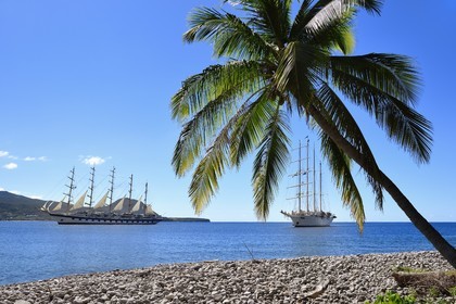 Caraïbes, Ile de la Dominique, Portsmouth, le Royal Clipper et le Star Flyer de la compagnie Star Clipper dans la baie de Prince Rupert