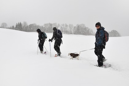 France, Haute-Savoie (74), Arâches-la-Frasse, station de ski Les Carroz d'Arâches, randonnée en raquettes