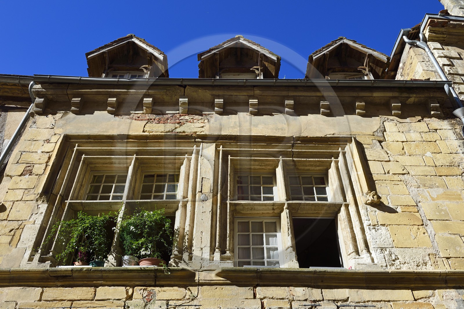 France, Dordogne, purple Perigord, Bergerac, mullioned window of medieval house at 23 rue Saint James