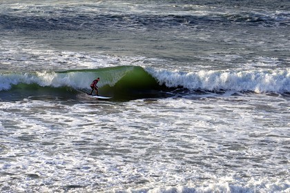 France, Pyrénées-Atlantiques (64), Pays-Basque, Biarritz, surfer à la Grande Plage
