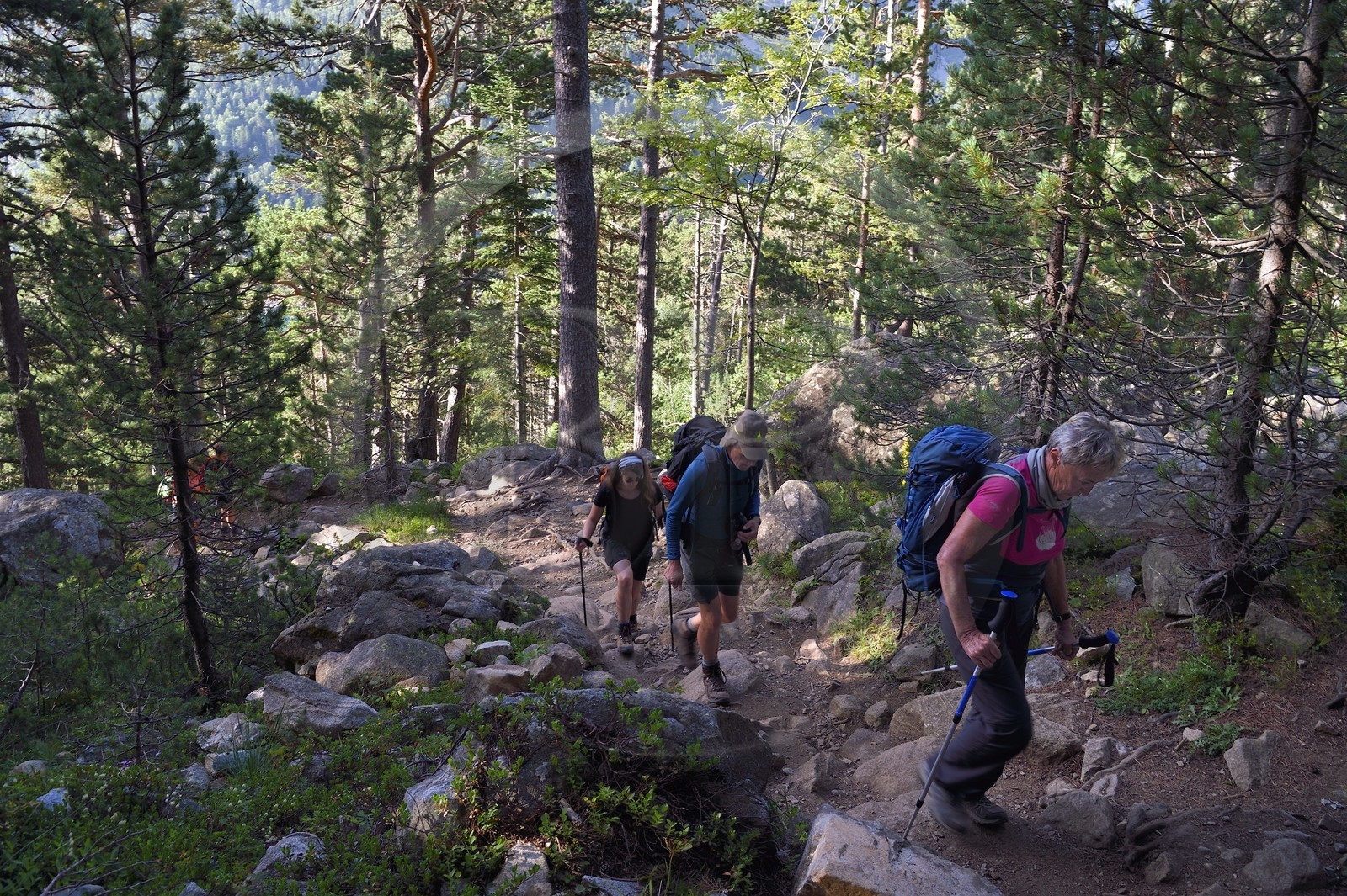 France, Hautes-Pyrénées (65), Saint-Lary-Soulan et Aragnouet, Réserve naturelle nationale du Néouvielle, randonnée des lacs du Neouvielle, randonneurs montant aux lacs des Laquettes