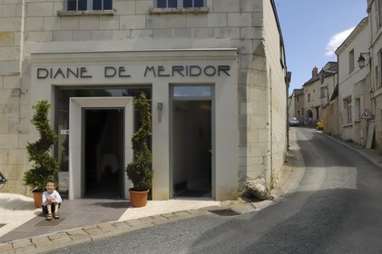 France, Maine et Loire (49), Montsoreau, restaurant Diane de Méridor