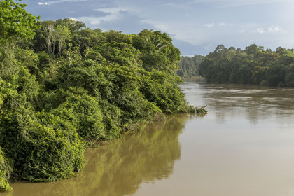 France, Guyane, Mana, le fleuve Mana