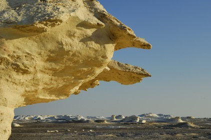 Egypte, désert libyque, le Désert Blanc au nord de Farafra