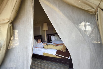 Zimbabwe, province de Matabeleland septentrional, parc national Hwange, Somalisa Expedition Camp de African Bush Camps, une tente