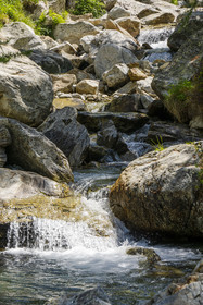 France, Alpes-Maritimes, Parc National du Mercantour (Mercantour national park), Haute Vesubie, Saint Martin Vesubie, Val du Haut Boréon, the Boréon river