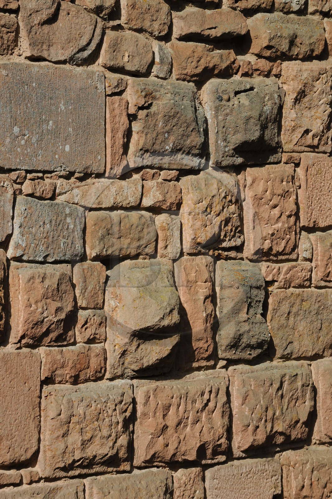 France, Bas-Rhin (67), le château du Haut-Koenigsbourg, façade extérieur du Grand Bastion, mur en grès des Vosges en relief