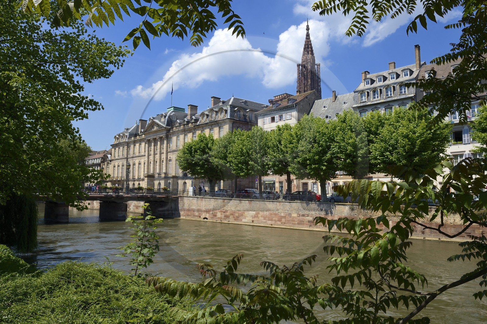 France, Bas-Rhin (67), Strasbourg, vieille ville classée au Patrimoine Mondial de l'UNESCO, les bords de l'ill face au quai des Bateliers et la cathédrale Notre Dame en arrière plan