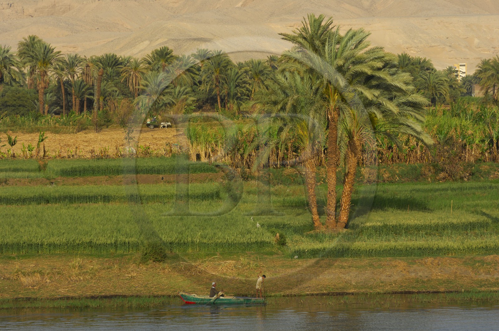 Egypt, Upper Egypt, Nile Valley, fishing barque on the Nile river between Luxor and Esna