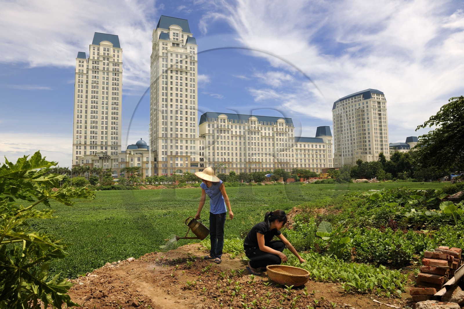 Vietnam, Hanoï, quartier de Cau Giay, nouveaux immeubles de luxe The Manor construit dans des anciennes rizières