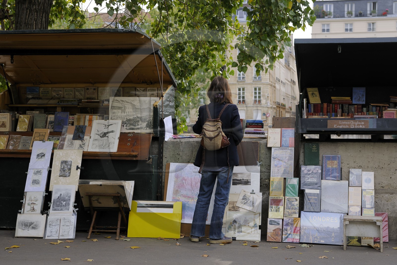 France, Paris (75), bouquinistes sur les quais de Seine