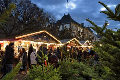 France, Bas-Rhin (67), Strasbourg, vieille ville classée Patrimoine Mondial de l'UNESCO, marché de Noël (Christkindelsmarik) de la place Broglie, vente de sapins de Noël au premier plan et l'ancien Hotel de ville en arrière plan