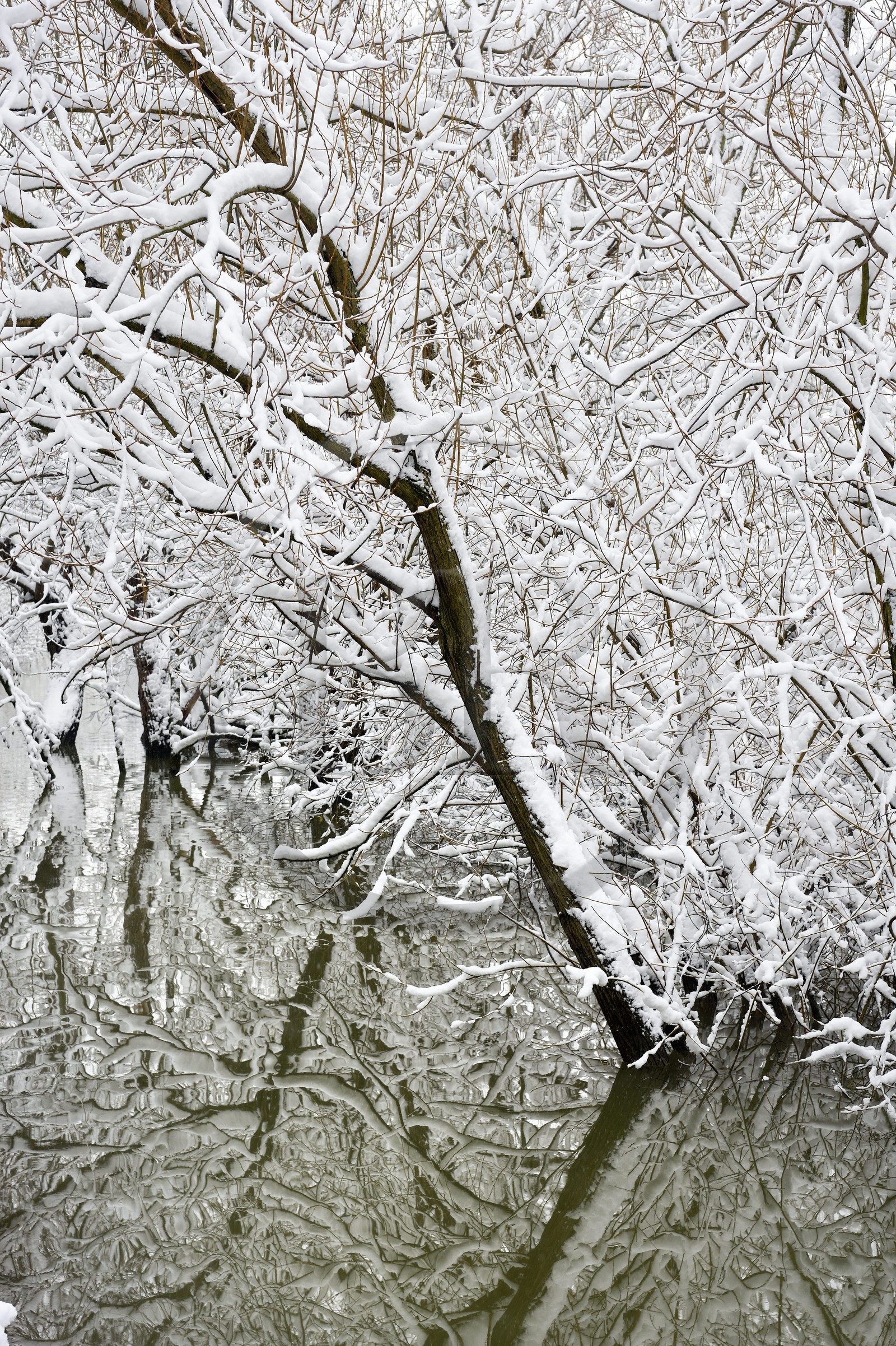 France, Val-de-Marne (94), les bords de Marne, Bry-sur-Marne,