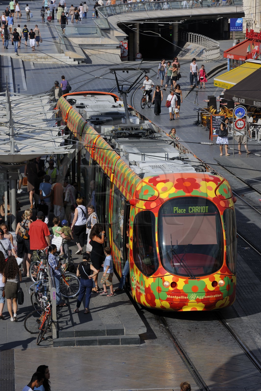 France, Hérault (34), Montpellier, centre historique, l'Ecusson, tramway sur la place de la Comédie