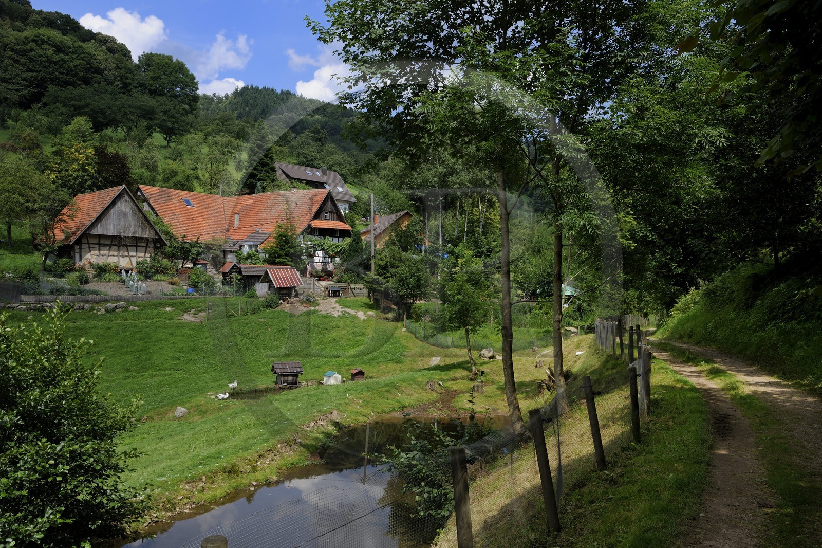Allemagne, Forêt Noire, Schwartzwald, Bade-Würtemberg, région d'Ottenhöffen, ferme auberge de la Benz-Mühle