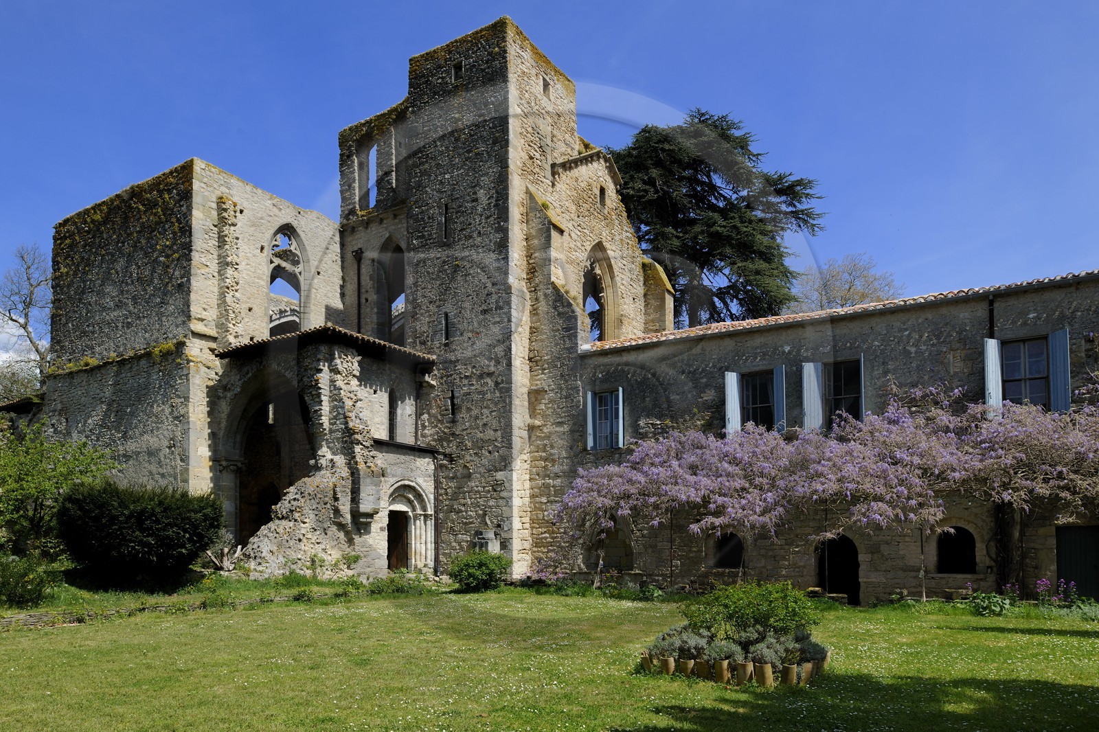France, Aude, Saint-Martin-le-Vieil, the former Cistercian abbey of Villelongue and guesthouse